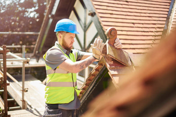 Roof Gutter Cleaning in Gilbert, AZ